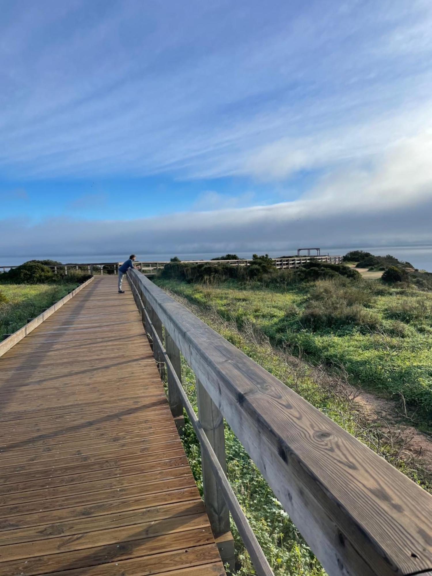 Casa Timor - Perfect Stay For Exploring Lagos & Algarve Eksteriør billede